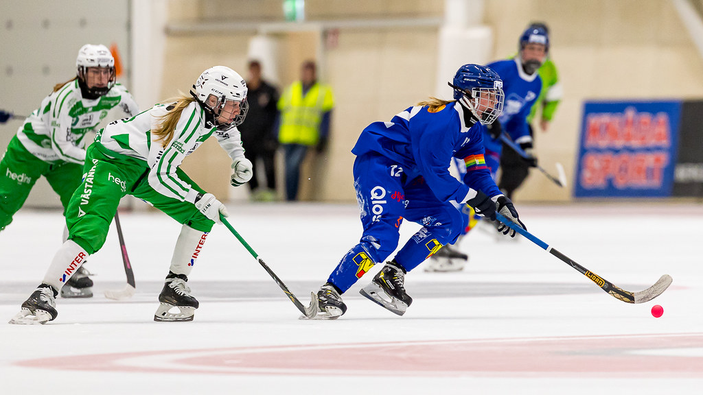 Foto: Gert Holmér/Svenska Bandyförbundet
