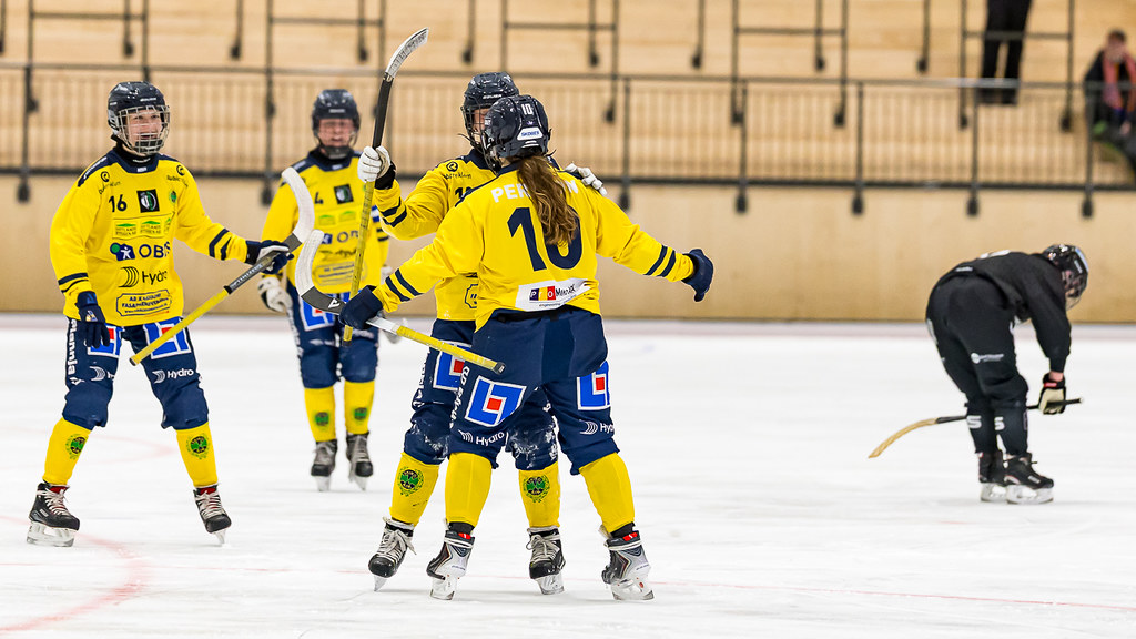 Foto: Gert Holmér/Svenska Bandyförbundet