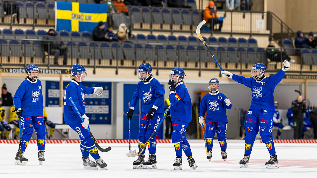 Foto: Gert Holmér/Svenska Bandyförbundet