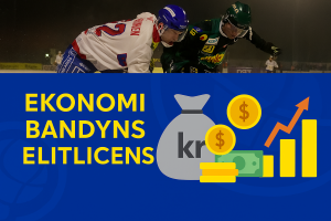 Ekonomi: Sju klubbar granskas vidare för Elitlicens