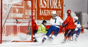 Foto Harriet Kallio Sataedu