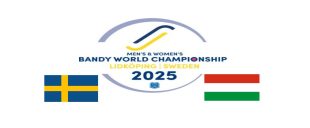 VM 2025 Sverige Ungern