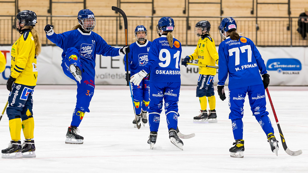 Villa bortabesegrade Skirö AIK